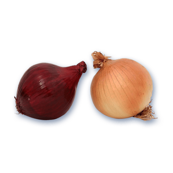 Brown & Purple Onion