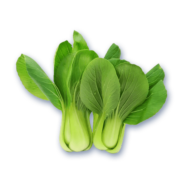 Pak Choy
