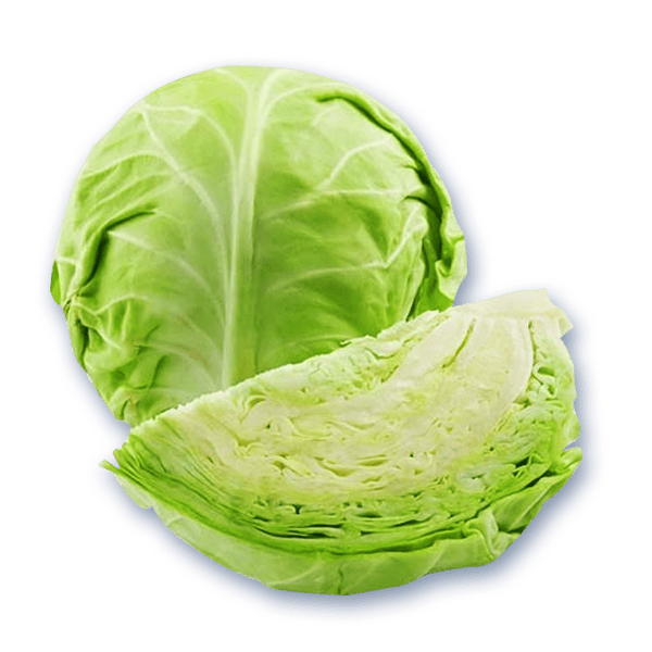 Round Cabbage