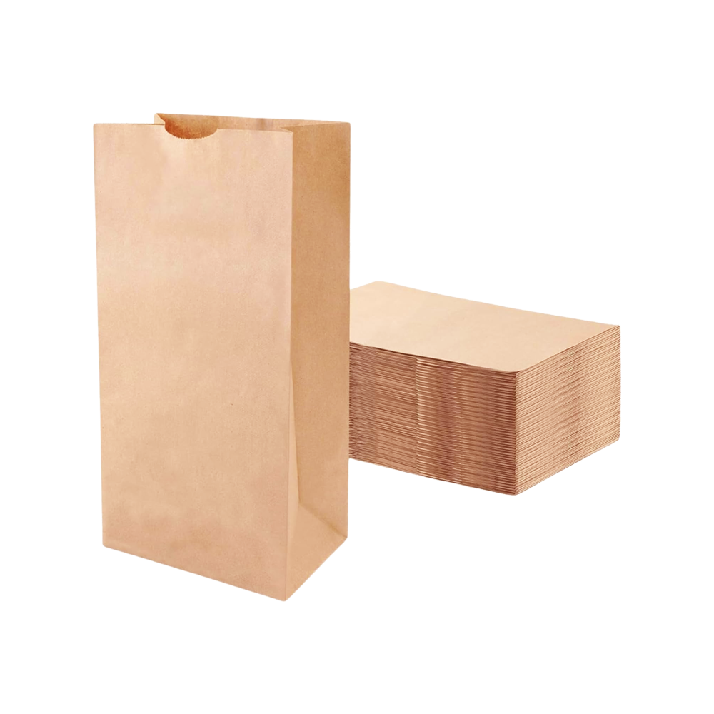 3LB Brown Paper Bag