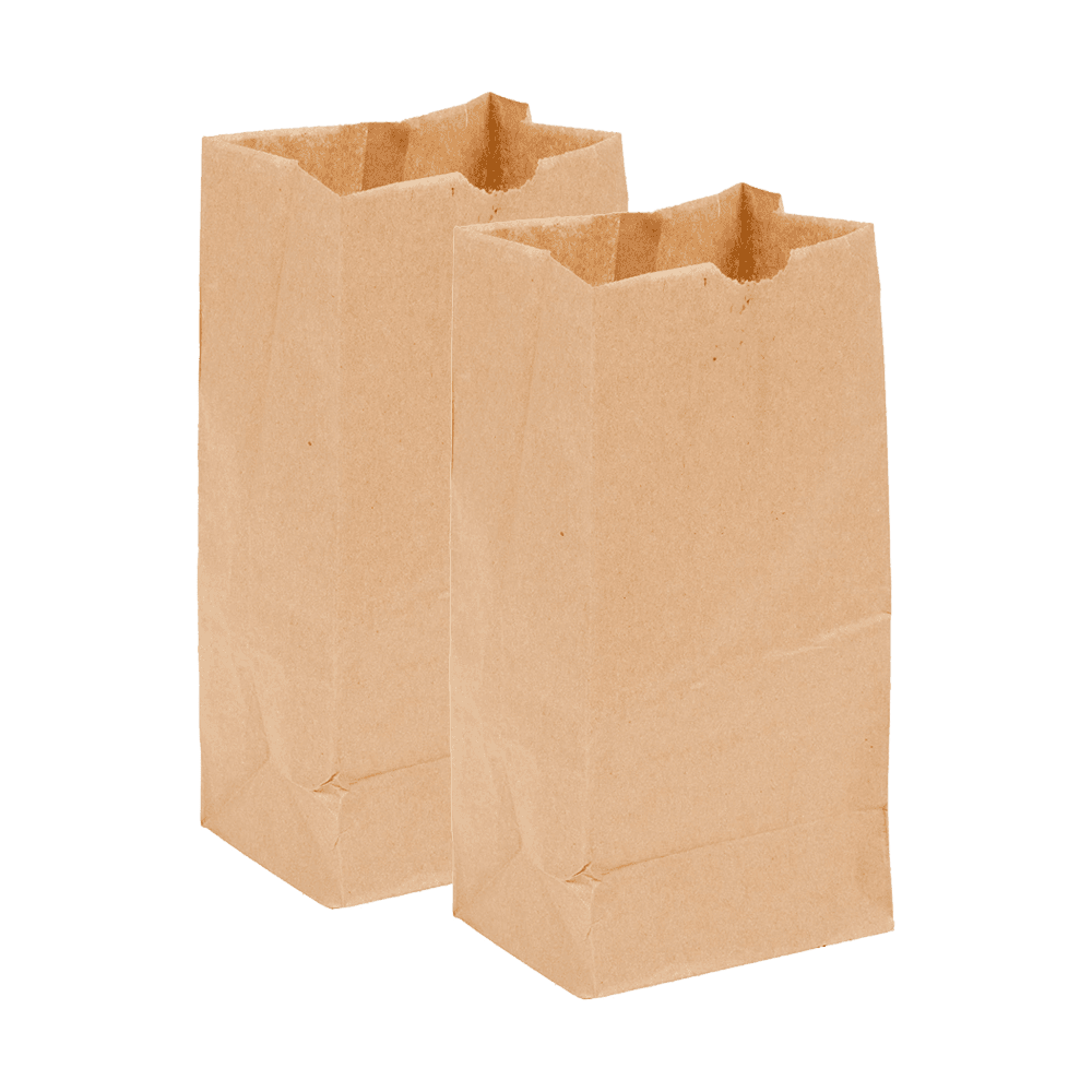 4LB Brown Paper Bag
