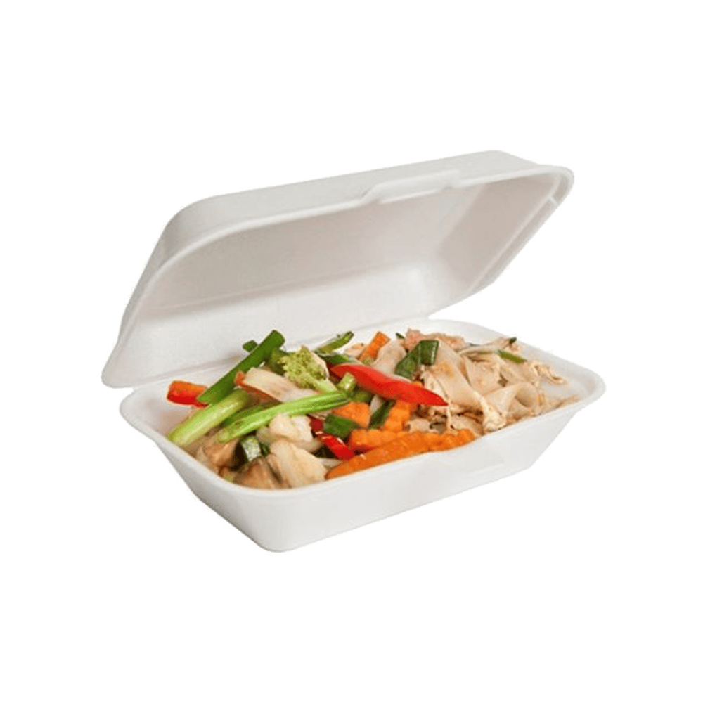 Foam Lunch Box