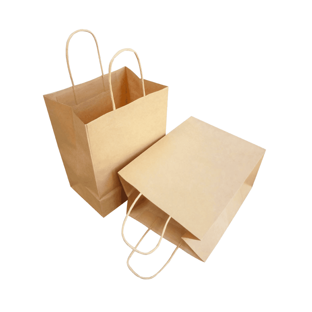 Twist Handle Paper Bag 410x300x149